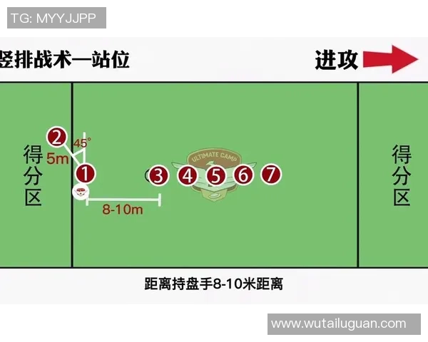 武汉飞盘队的区域防守策略揭秘与战术分析深度探讨