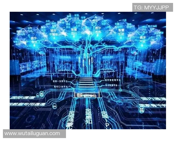 成都极限运动队的转型之路与挑战探索全新竞技模式的特别报道MBA