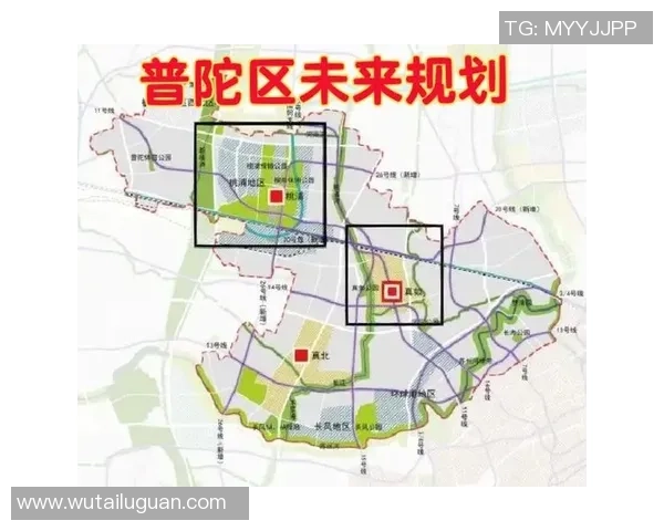 上海排球队整体压制表现分析与未来发展方向探讨
